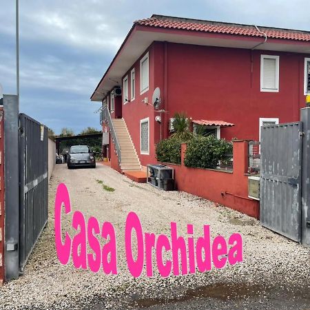 Ferienwohnung Casa Orchidea Fiumicino Exterior foto
